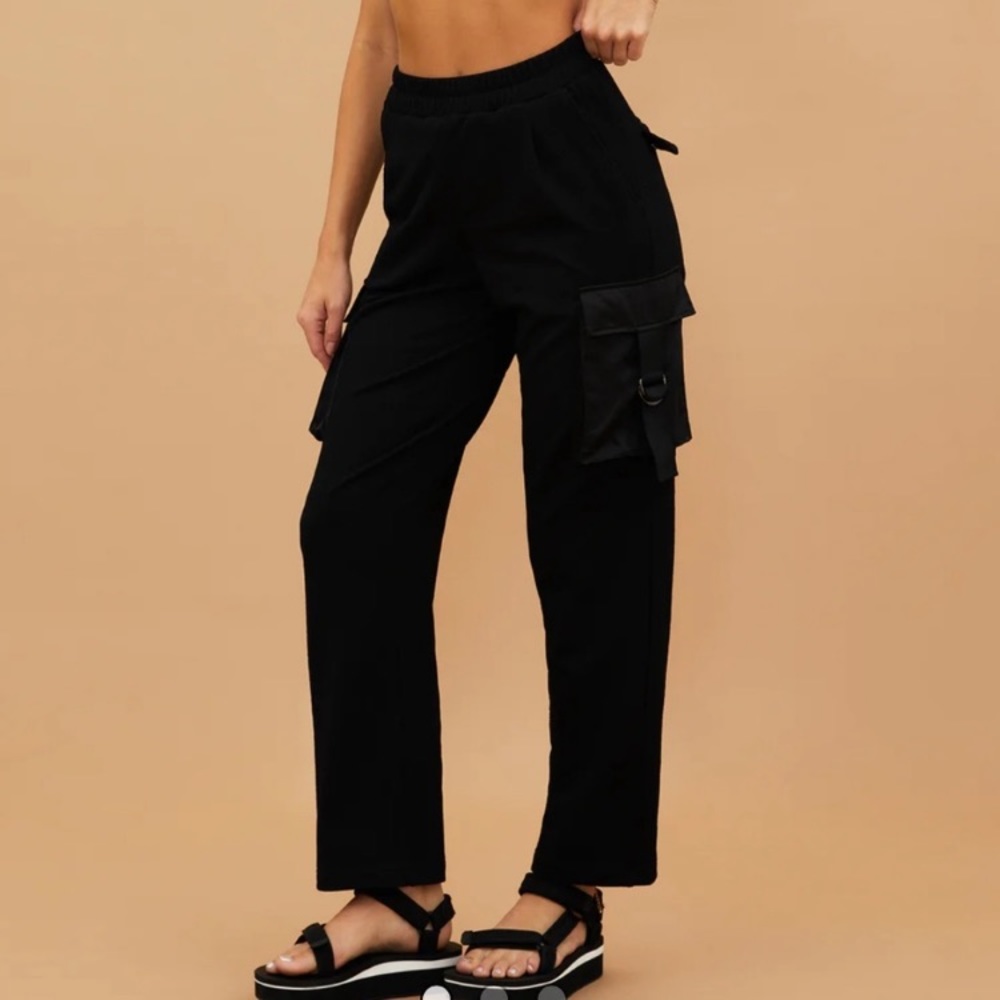 NWT Beach Riot Range Cargo Pants Size Small